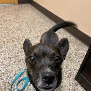 Meet your Posher, Kellie